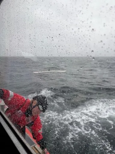 Parker Reef, Wash. — A Station Bellingham crew member works to reach the capsized paddler. U.S. Coast Guard photo.